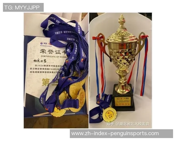 重庆羽毛球队个人能力深度对比分析及发展潜力探讨
